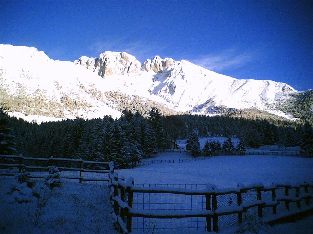 Hotel Des Alpes Кастионе дела Презолана Екстериор снимка