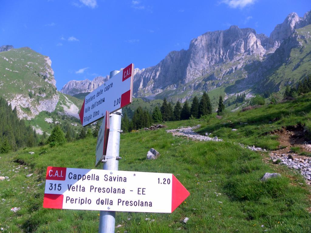 Hotel Des Alpes Кастионе дела Презолана Екстериор снимка
