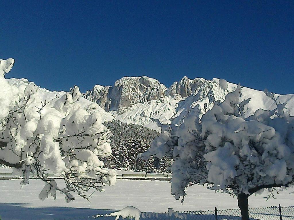 Hotel Des Alpes Кастионе дела Презолана Екстериор снимка
