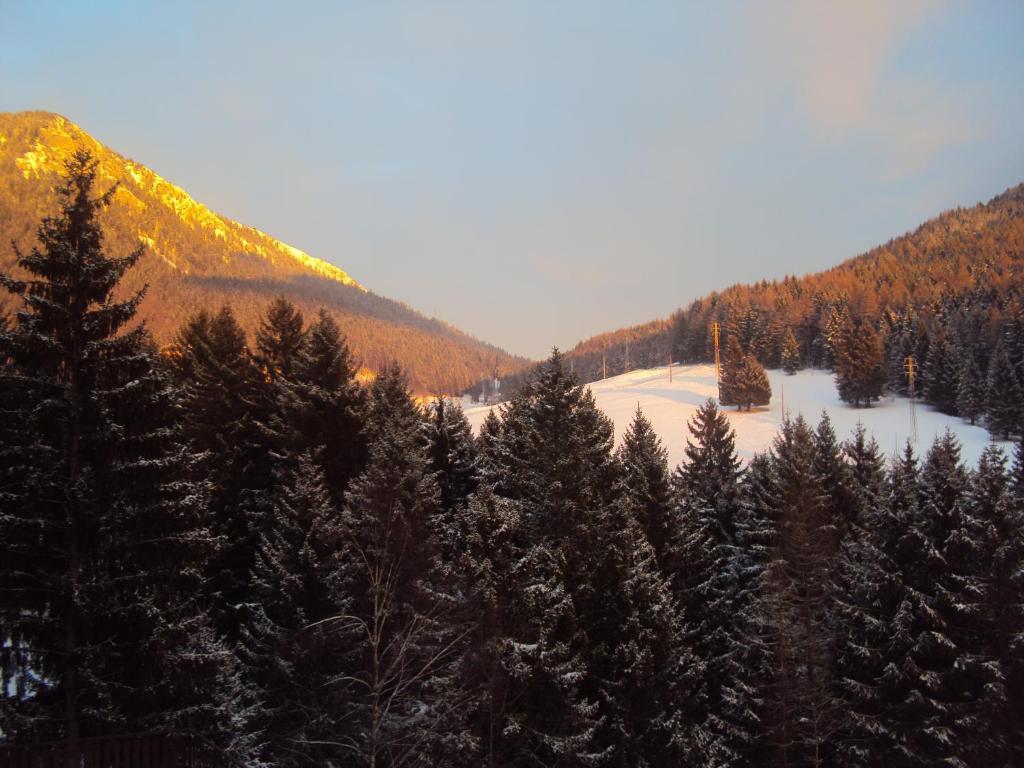 Hotel Des Alpes Кастионе дела Презолана Стая снимка