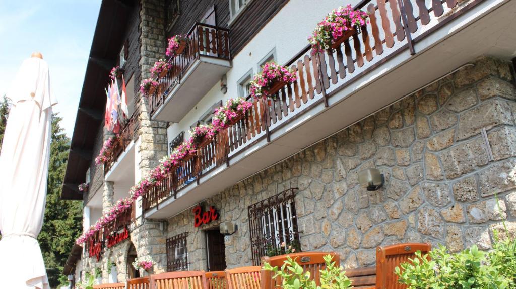 Hotel Des Alpes Кастионе дела Презолана Екстериор снимка