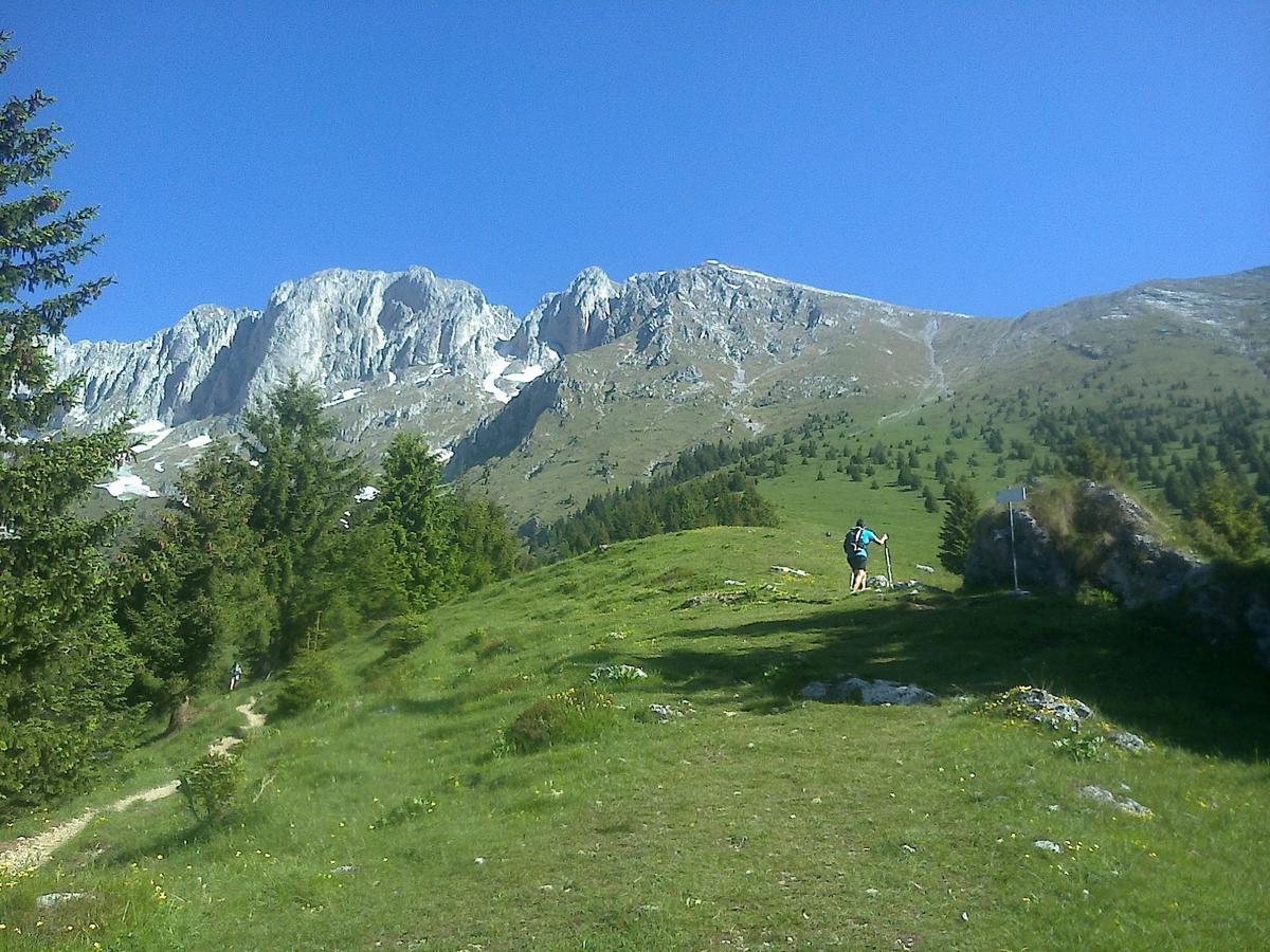 Hotel Des Alpes Кастионе дела Презолана Екстериор снимка